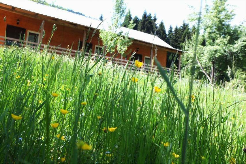 Cottage Shgedi Mestia Exterior foto